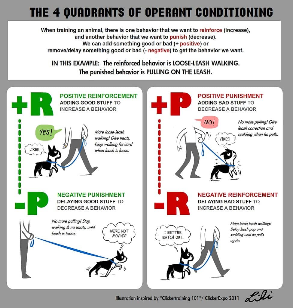 Image result for Operant Conditioning example