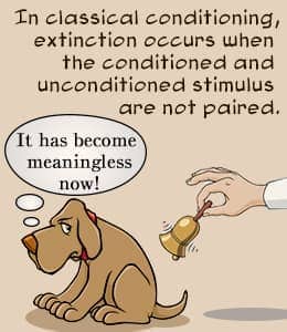 Image result for classical conditioning extinction