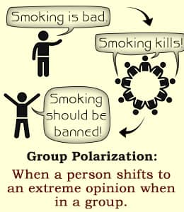 Image result for group polarization