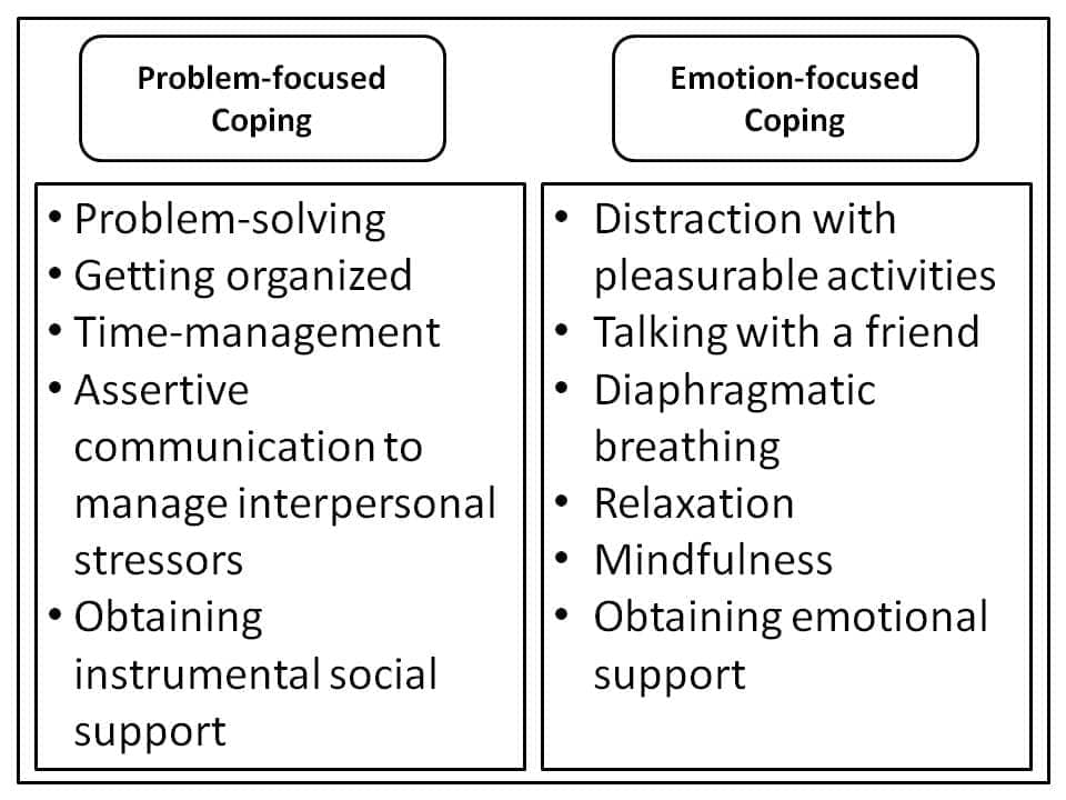 Image result for problem focused emotion coping