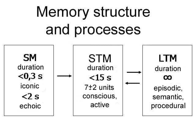 Image result for sensory memory