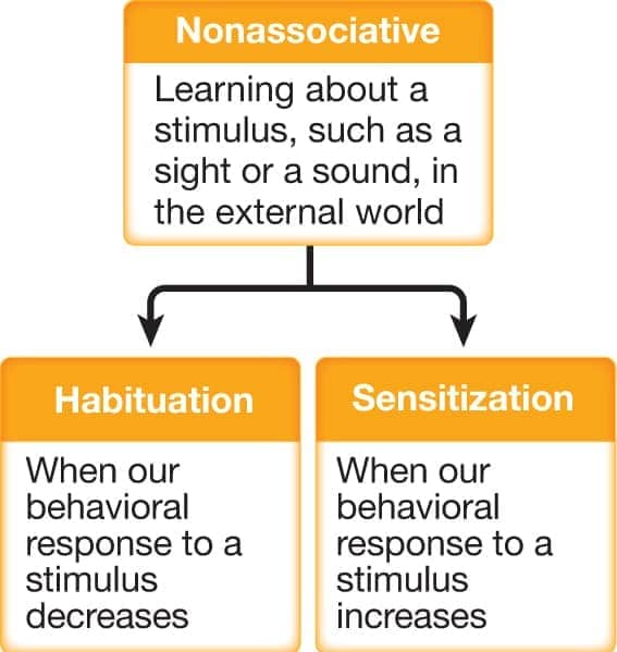 Image result for habituation sensitization