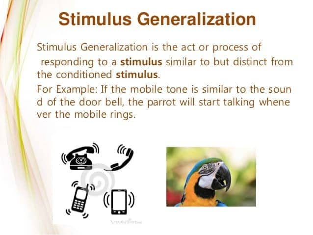 Image result for classical conditioning generalization